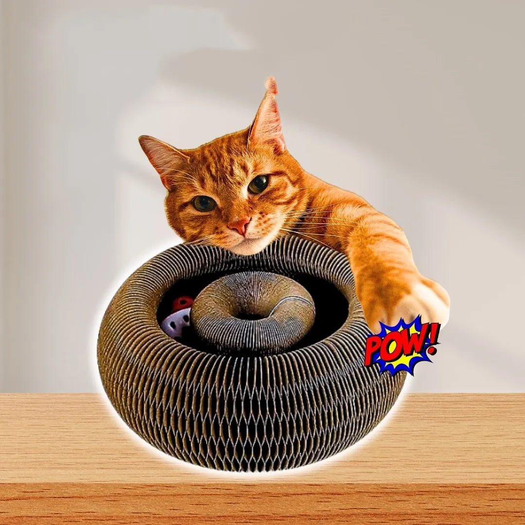 Magic Organ Cat Scratcher™