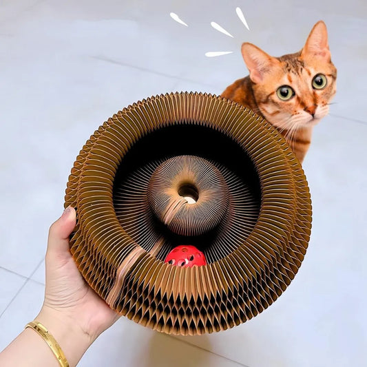 Magic Organ Cat Scratcher™