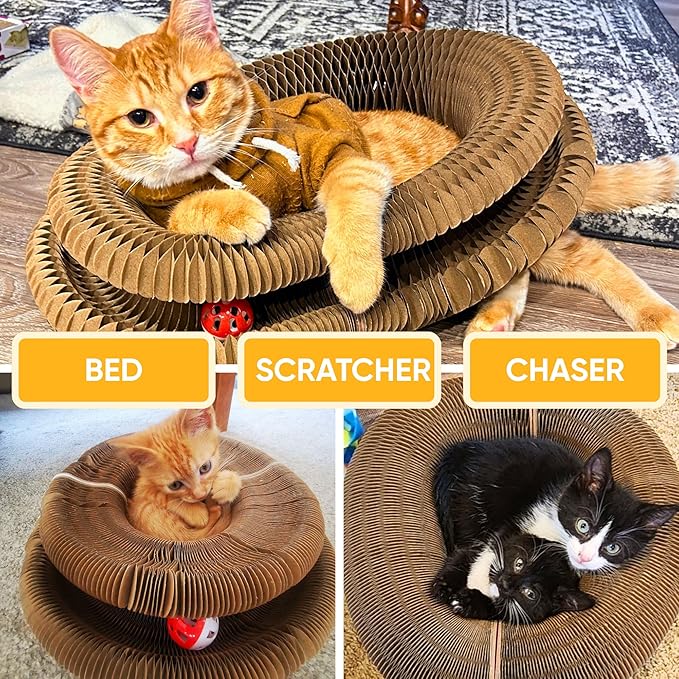 Magic Organ Cat Scratcher™