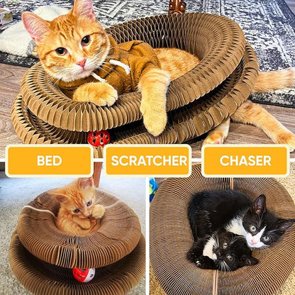 Magic Organ Cat Scratcher™