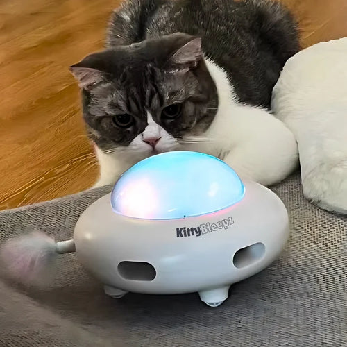 Cat Toy Bleepz™