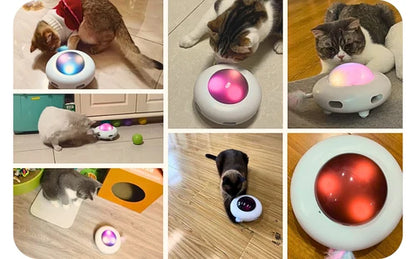 Cat Toy Bleepz™