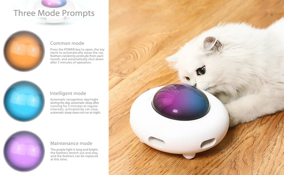 Cat Toy Bleepz™