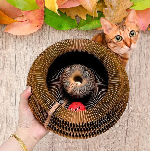 Magic Organ Cat Scratcher™